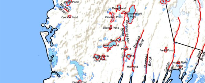 falmouth pond study