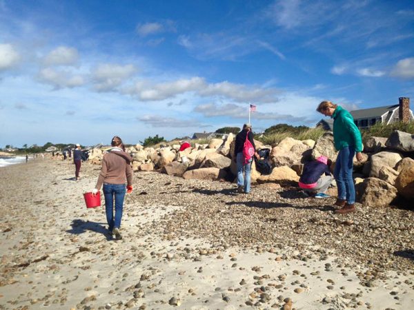 beach-cleanup beach cleanup