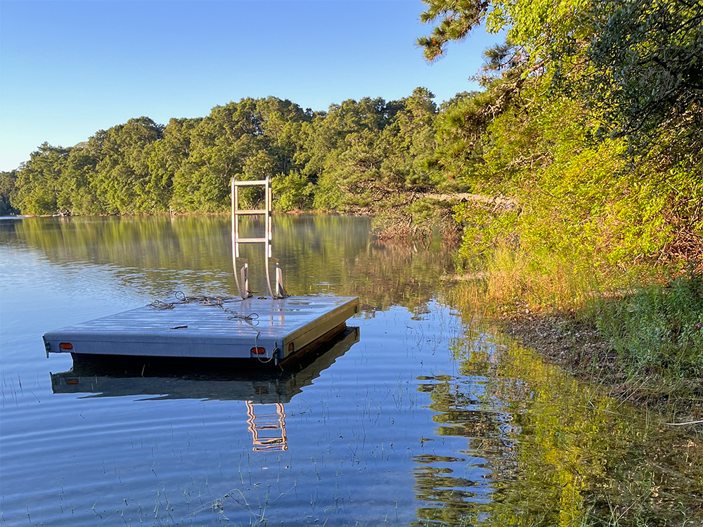 cyanobacteria monitoring featured image