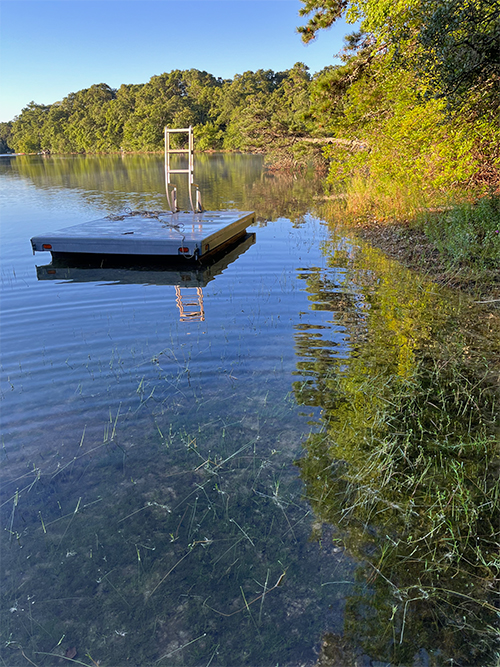 Cyanobacteria Monitoring