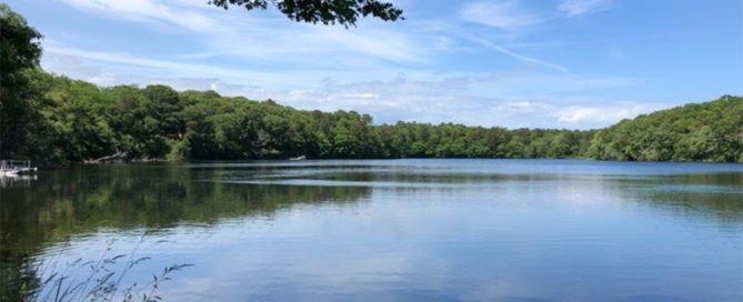 Fresh Pond summer 2023