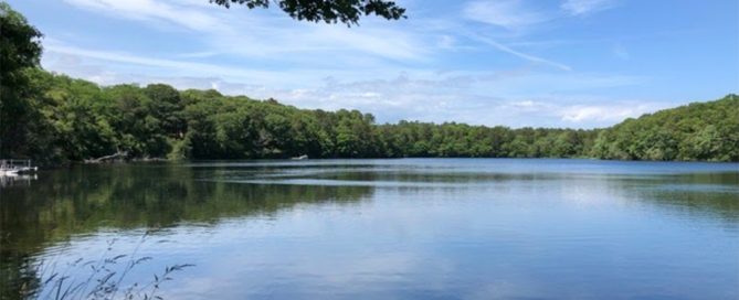 Fresh Pond featured image