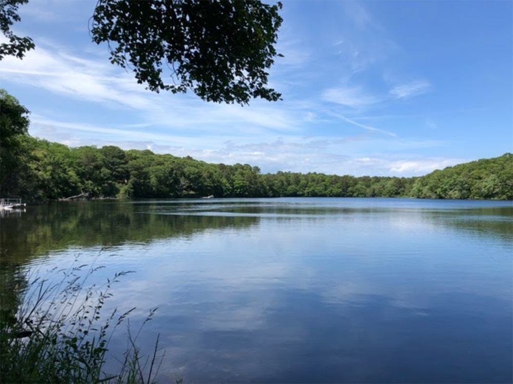 Fresh Pond featured image